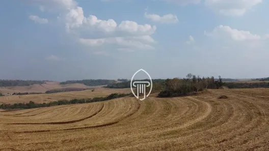 Fazenda/Sítio à venda, 2057000m² no , Sertanópolis