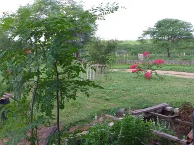 Fazenda/Sítio com 4 Quartos à venda, 1690000m² no , São Pedro