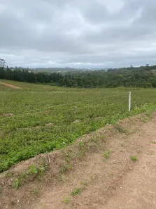 Lote/Terreno à venda, 500m² no Altos de Caucaia (Caucaia do Alto), Cotia