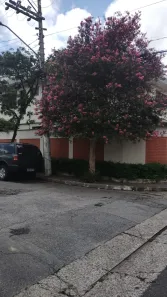 Sobrado com 4 Quartos para alugar, 100m² no Brooklin Paulista, São Paulo