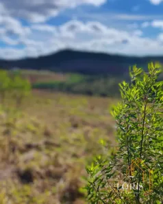 Lote/Terreno à venda, 500m² no Centro (Caucaia do Alto), Cotia