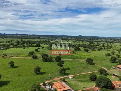 Fazenda/Sítio à venda, 500m² no , Faina