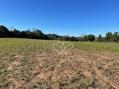 Fazenda/Sítio à venda, 25000m² no Itacolomi, Gravataí