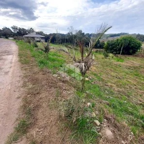 Lote/Terreno à venda, 6666m² no Tuiuti, Bento Gonçalves