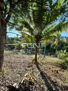 Lote/Terreno à venda, 1250m² no Barra do Pojuca (Monte Gordo), Camaçari