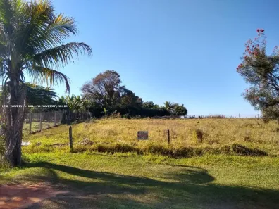 Fazenda/Sítio à venda, 1000m² no , Álvares Machado