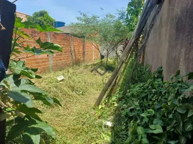 Lote/Terreno à venda, 250m² no Vila Amorim, Suzano