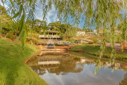 Lote/Terreno à venda, 368m² no Colônia Dona Luíza, Ponta Grossa