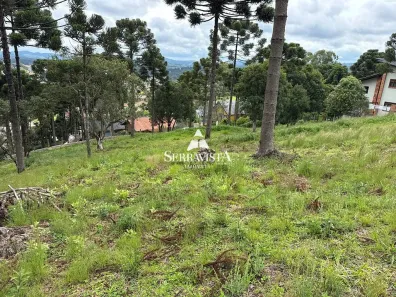 Lote/Terreno à venda, 3380m² no Centro, Campo Alegre