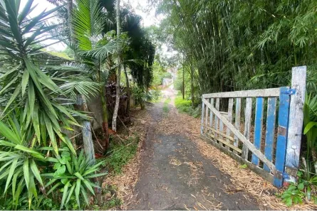 Fazenda/Sítio com 3 Quartos à venda, 200m² no Capoavinha, Mairiporã