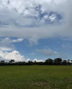 Lote/Terreno à venda, 450m² no Thermas de Santa Bárbara, Águas de Santa Bárbara
