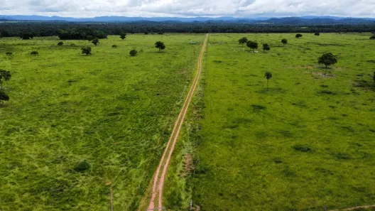 Fazenda/Sítio à venda, 550m² no , Santo Antônio de Leverger
