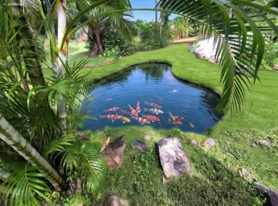 Fazenda/Sítio com 4 Quartos à venda, 550m² no , Mata de São João