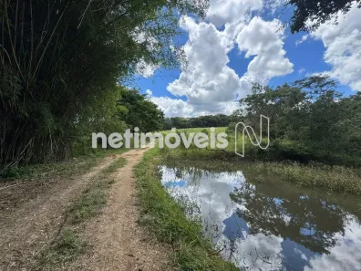 Fazenda/Sítio com 4 Quartos à venda, 130000m² no , Florestal