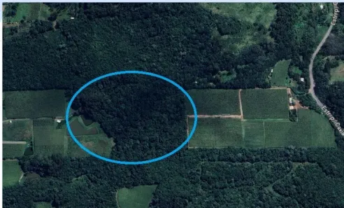 Imóvel Comercial à venda, 30000m² no , Flores da Cunha