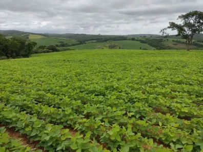 Fazenda/Sítio com 1 Quarto à venda, 484000m² no , Pilar do Sul