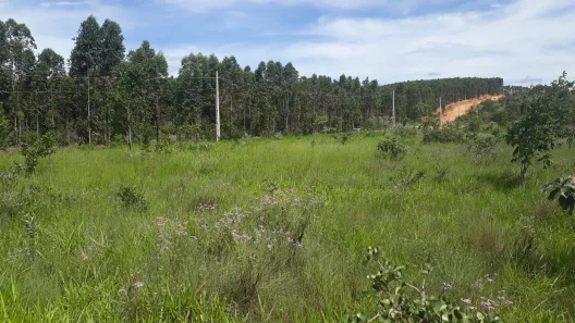 Lote/Terreno à venda, 20000m² no Zona Rural, Paraopeba