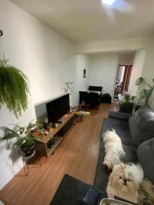 Cobertura com 2 Quartos à venda, 96m² no Vila Camilópolis, Santo André