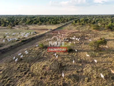 Fazenda/Sítio à venda, 1m² no , Nova Crixás