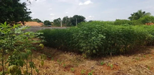 Lote/Terreno à venda, 1000m² no Cercado, Araçoiaba da Serra