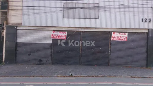 Sala Comercial para alugar, 528m² no Belenzinho, São Paulo