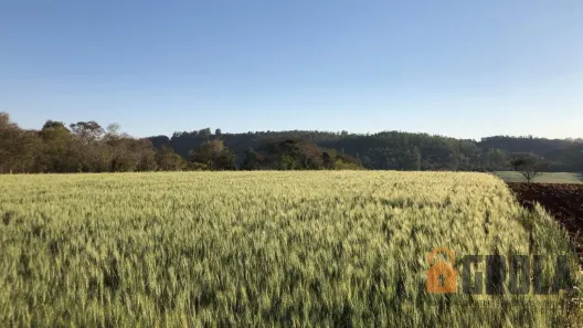 Fazenda/Sítio à venda, 24200m² no Área Rural de Campo Mourão, Campo Mourão