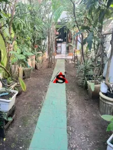 Sobrado com 3 Quartos à venda, 124m² no Vila Mariana, São Paulo