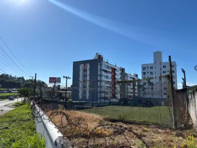 Imóvel Comercial à venda, 2000m² no Praia Comprida, São José