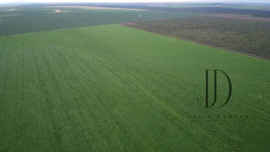 Fazenda/Sítio à venda, 13520000m² no , São Desidério