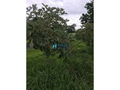 Lote/Terreno à venda, 3m² no , Arealva