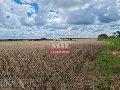Fazenda/Sítio à venda, 1m² no Centro, Luziânia