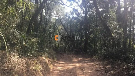 Fazenda/Sítio com 1 Quarto à venda, 100m² no , Contenda