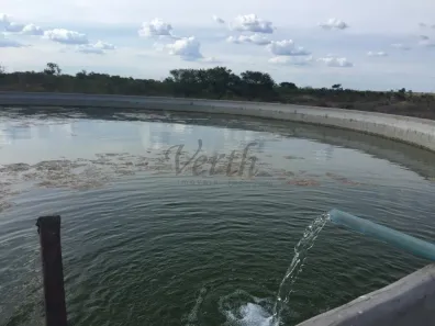 Fazenda/Sítio com 10 Quartos à venda, 5000m² no Centro, Canudos