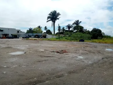 Lote/Terreno para alugar, 12866m² no Prefeito Antônio Lins de Souza, Rio Largo