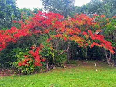 Fazenda/Sítio à venda, 1000m² no Setor Central, Aragoiânia