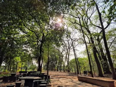 Lote/Terreno à venda, 360m² no Condomínio Jardim Botânico, Bady Bassitt