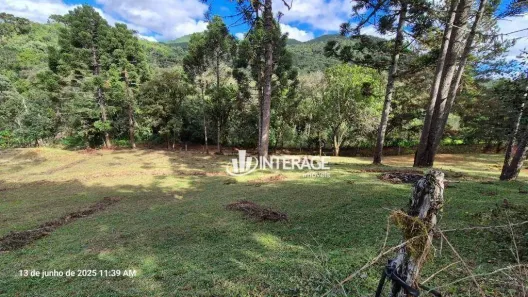 Lote/Terreno à venda, 2818m² no , Campo Magro