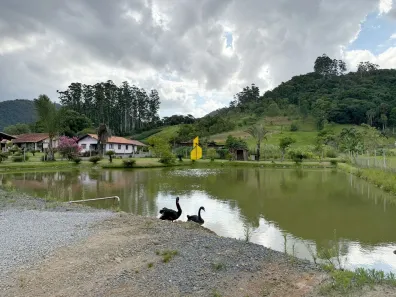 Fazenda/Sítio com 2 Quartos à venda, 5000m² no Tiroleses, Timbó