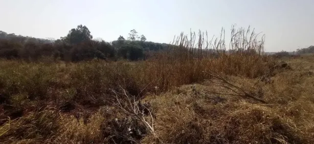 Lote/Terreno à venda, 6600m² no , São Pedro