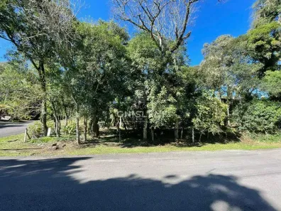 Lote/Terreno à venda, 1078m² no Ipê Amarelo, Gramado