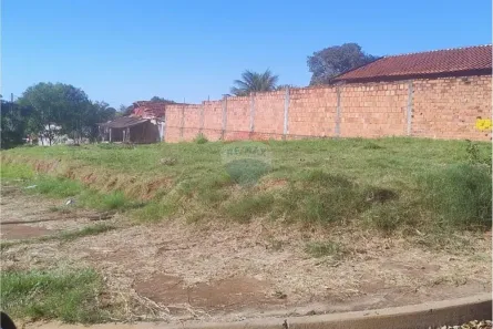 Lote/Terreno à venda, 312m² no Parque São Gabriel, Andradina