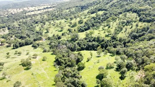 Fazenda/Sítio com 5 Quartos à venda, 10m² no Zona Rural, Marzagão