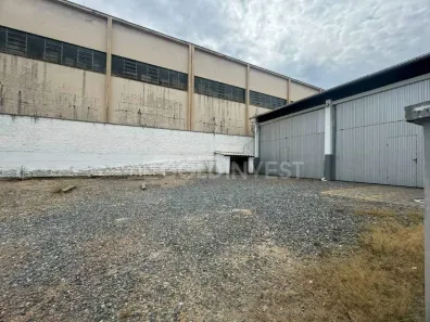 Galpão/Depósito/Armazém para alugar, 250m² no Steffen, Brusque