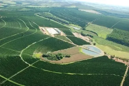 Fazenda/Sítio com 3 Quartos à venda, 100m² no , Piumhi