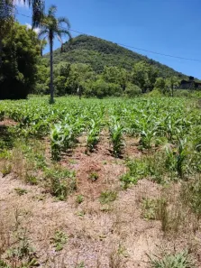 Fazenda/Sítio com 1 Quarto à venda, 5000m² no Jardim Bela Vista, Gramado
