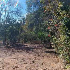 Fazenda/Sítio à venda, 1500m² no Caputera, Cotia