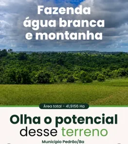 Lote/Terreno à venda, 419000m² no Centro, Pedrão