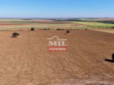 Fazenda/Sítio à venda, 1m² no , Indiara
