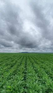 Fazenda/Sítio com 10 Quartos à venda, 21140000m² no Morada Nova de Minas, Morada Nova de Minas