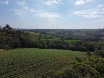 Fazenda/Sítio com 2 Quartos à venda, 90m² no , São Miguel Arcanjo